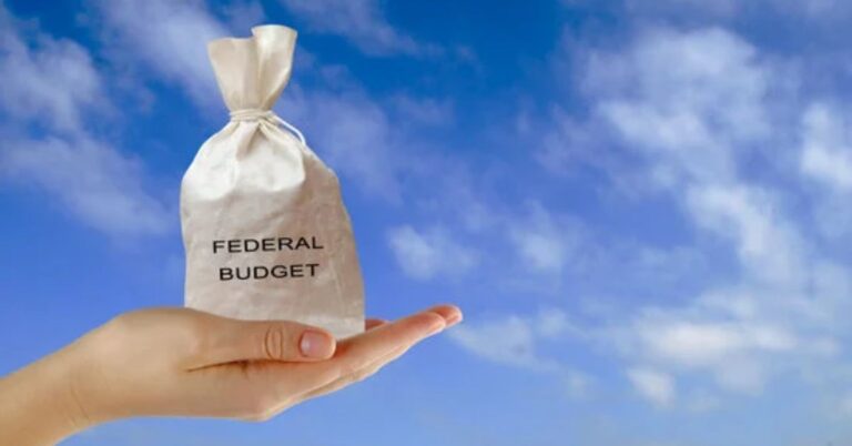 A feminine hand holding a canvas bag with "federal budget" printed on it. Background is a blue sky.