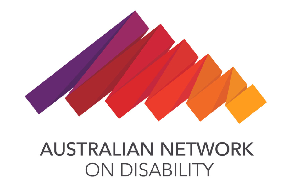 Australian Network on Disability logo with a purple, red and yellow squiggle.