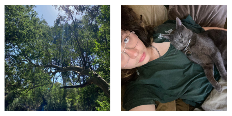 Two images showing Ezra taking time for self care. One is the camera pointing up into the sky capturing the sun peeking through the green leaves of trees. The other is a selfie of Ezra and his cat Louie, Louie has grey fur and looks very sleepy.