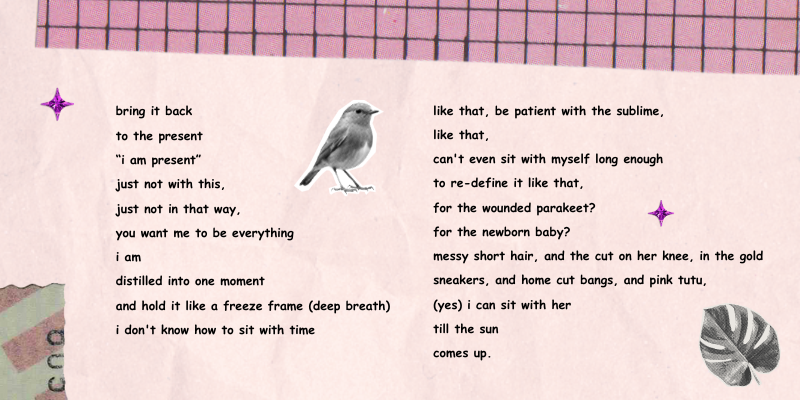 bring it back to the present “i am present” just not with this, just not in that way, you want me to be everything i am distilled into one moment and hold it like a freeze frame (deep breath) i don't know how to sit with time like that, be patient with the sublime, like that, can't even sit with myself long enough to re-define it like that, for the wounded parakeet? for the newborn baby? messy short hair, and the cut on her knee, in the gold sneakers, and home cut bangs, and pink tutu, (yes) i can sit with her till the sun comes up.