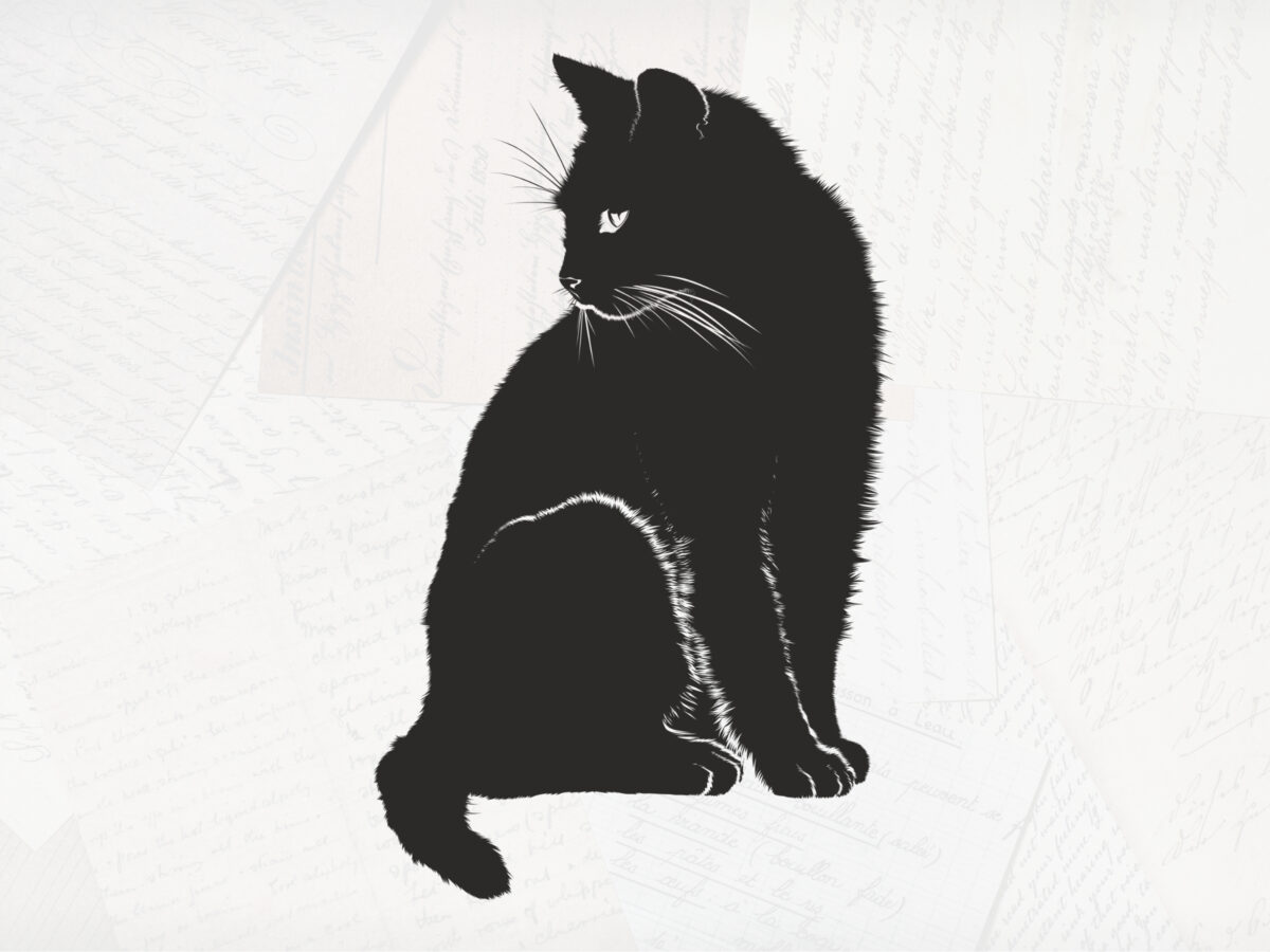 Illustration of a black cat. The background is a very faded photograph of overlapping handwritten notes.