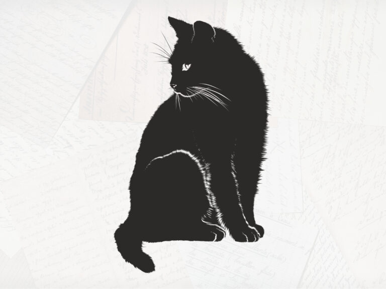 Illustration of a black cat. The background is a very faded photograph of overlapping handwritten notes.
